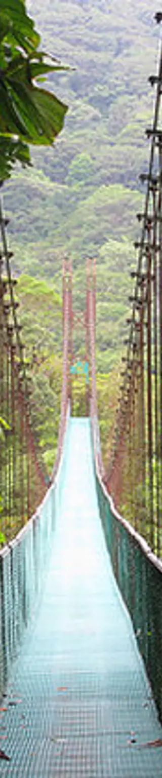 Besuche den Mistico Hanging Bridges-Park bei La Fortuna